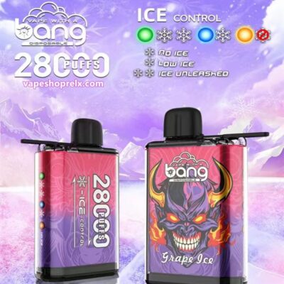 BANG28000口霧化棒 BANG28000口霧化棒